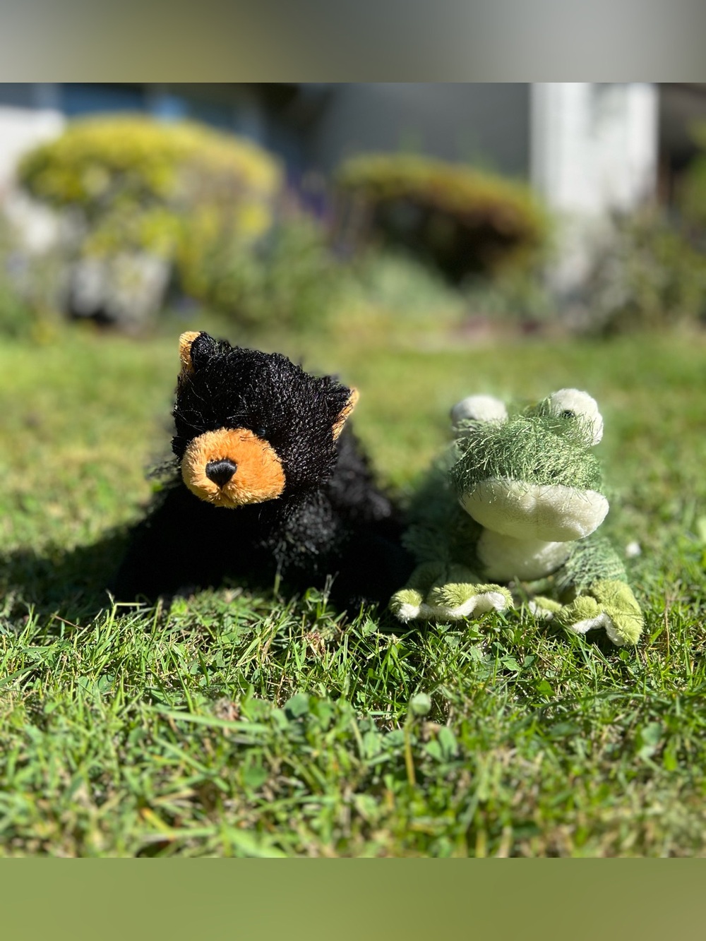 Ganz Webkinz Plush Lot Frog HM001 & Black Bear HM004 Stuffed Animals